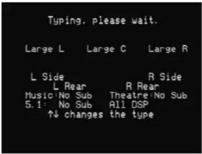 Typing, please wait. Large L Large C Large R L Side R Side L Rear R Rear Music: No Sub Theatre: No Sub 5.1: No Sub All DSP ↑↓ changes the type