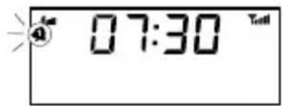 07:30 Test