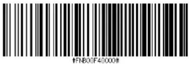 #FNB00F40000#