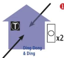 T Ding Dong & Ding x2