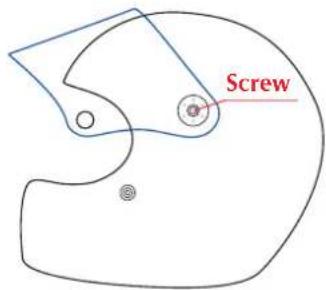 Screw