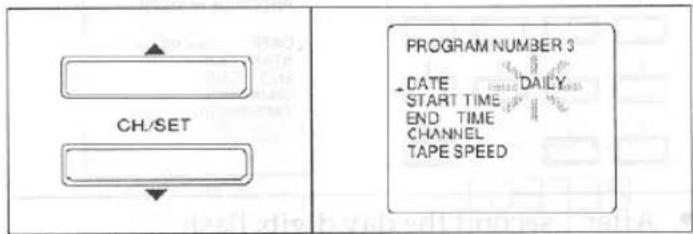 PROGRAM NUMBER 3 DATE DAILY START TIME END TIME CHANNEL TAPE SPEED CH/SET