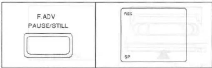 F.ADV PAUSE/STILL REC SP