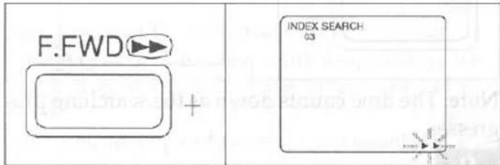 F.FWD + INDEX SEARCH 03