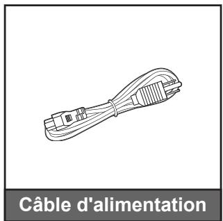 Câble d'alimentation