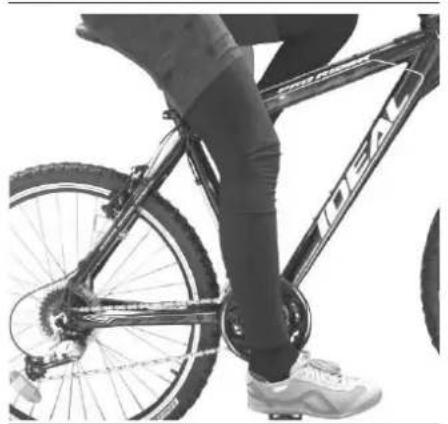 IDEAL Megisto - BICYCLE FIT - 2