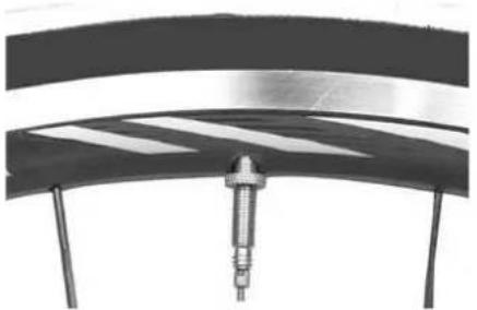 IDEAL Megisto - Tires & Tubes - 2
