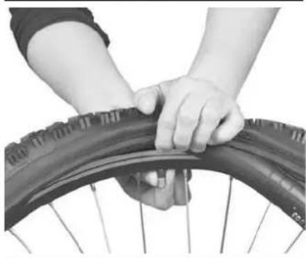 IDEAL Megisto - Tires & Tubes - 4