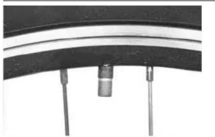 IDEAL Megisto - Tires & Tubes - 1