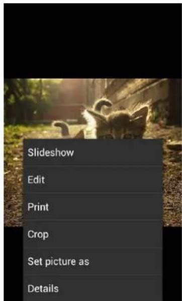Slideshow Edit Print Crop Set picture as Details