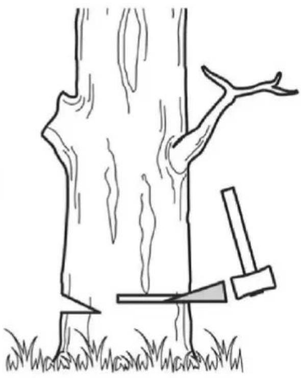 Meec Tools 721-342 - FELLING A TREE - 2