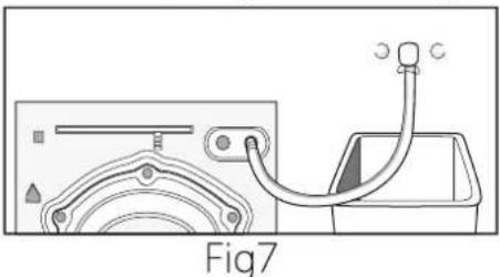 BELLING FW1016 - Connections - 1
