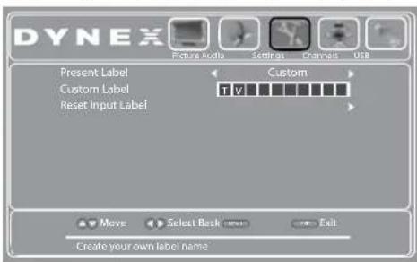 DYNEX Picture Audio Settings Channels USA Present Label Custom Label T V Reset Input Label Custom Move Select Back None Exit Create your own label name