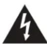 INSIGNIA NS-55DR420NA16 - RISK OF ELECTRIC SHOCK DO NOT OPEN - 2