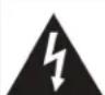 INSIGNIA NS-55DR420NA16 - Important Safety Instructions - 1