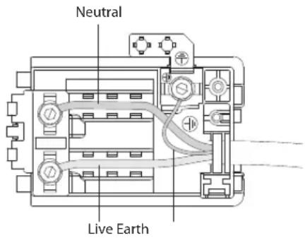 Neutral Live Earth