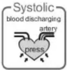 Systolic blood discharging artery press