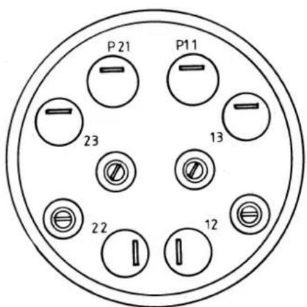 P 21 P11 23 13 22 12