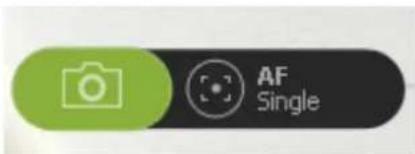 AF Single