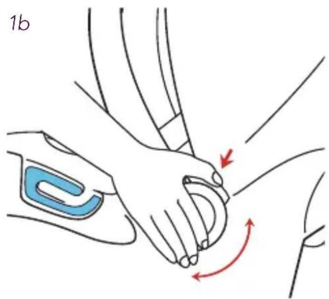 1b