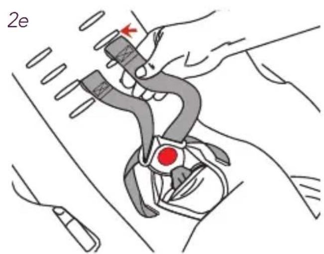 2e