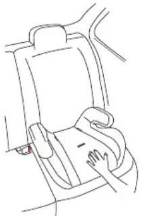 Lorelli Kiddy - "Group III" /22 - 36 kg/ - 3