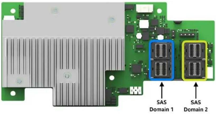 SAS Domain 1 SAS Domain 2