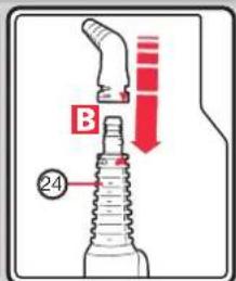 B 24
