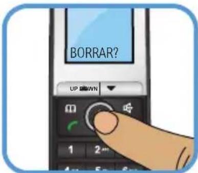 BORRAR?