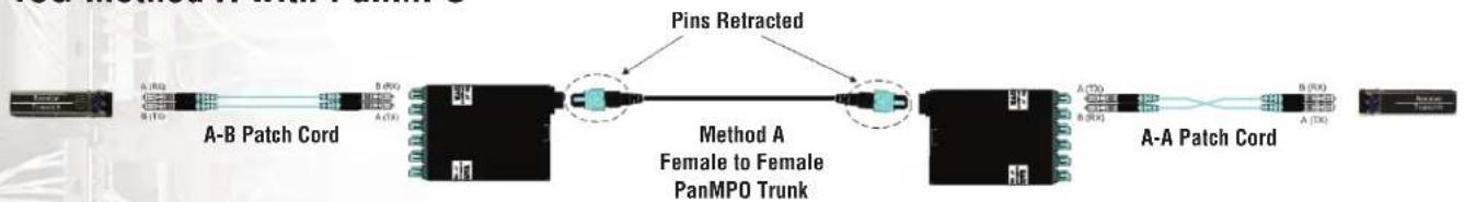 Panduit MPO/L 3M - 10G to 40G migration - 1