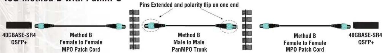 Panduit MPO/L 3M - 10G to 40G migration - 2