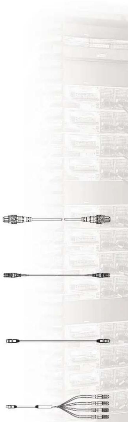 Panduit MPO/L 3M - MPO to LC Harness - 1