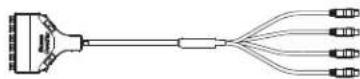 Panduit MPO/L 3M - Cassette to LC Trunk - 2