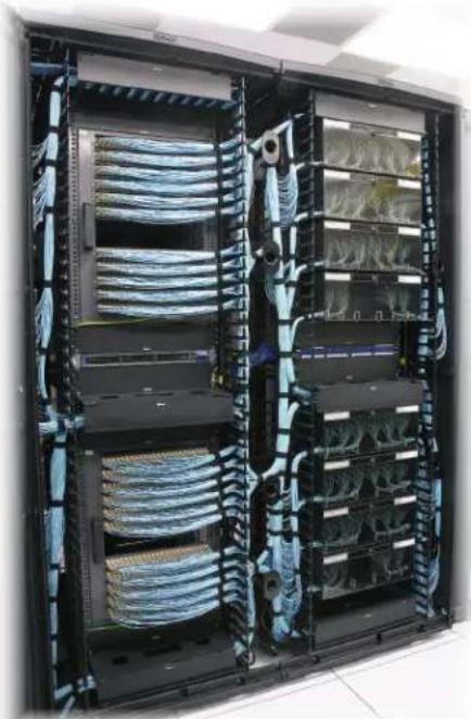 Panduit MPO/L 3M - QuickNet™ Fiber Cabling in the Data Center - 1