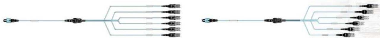 Panduit MPO/L 3M - Switch Port Equipment Harnesses - 1