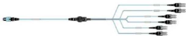 Panduit MPO/L 3M - Switch Port Equipment Harnesses - 2