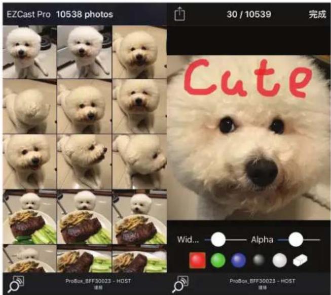 EZCast Pro 10538 photos 30 / 10539 完成 Cute Width... Alpha ProBox_BFF30023 - HOST ProBox_BFF30023 - HOST