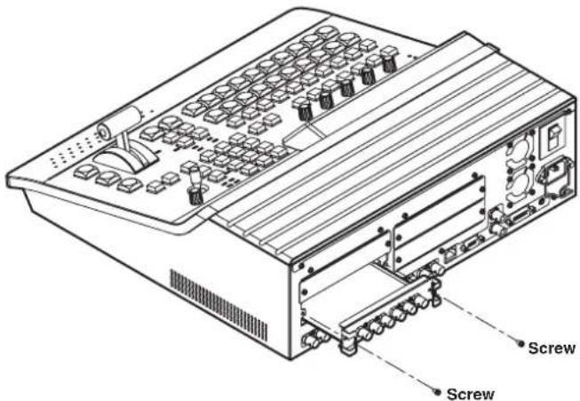 Screw Screw