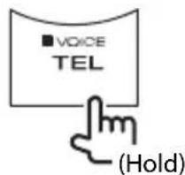 VOICE TEL (Hold)