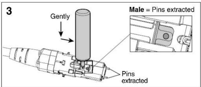 3 Gently Male = Pins extracted Pins extracted