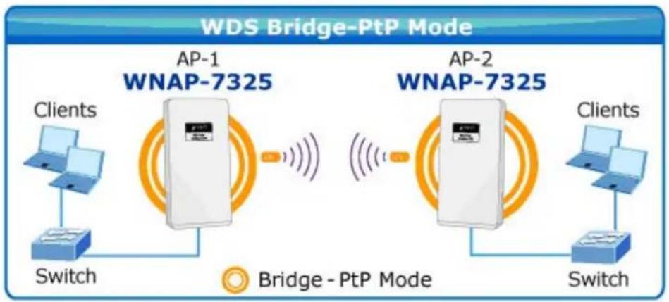Planet WNAP-7335 - Topology: - 1