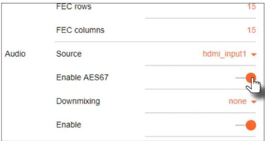 FEC rows 15 FEC columns 15 Audio Source hdmi_input1 Enable AES67 Downmixing none Enable