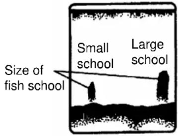 Small school Large school Size of fish school