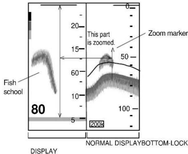 Fish school 80 5 20 15 60 10 100 200k This part is zoomed. Zoom marker NORMAL DISPLAYBOTTOM-LOCK DISPLAY NORMAL DISPLAYBOTTOM-LOCK