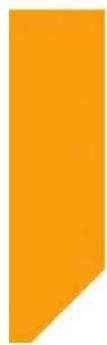 BUSH WMNSX1016W - 6 - 2