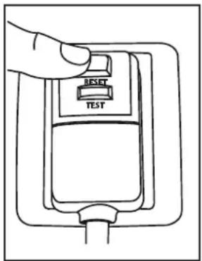 RESET TEST