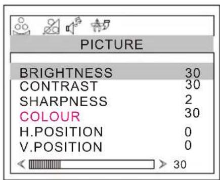 PICTURE BRIGHTNESS 30 CONTRAST 30 SHARPNESS 2 COLOUR 30 H.POSITION 0 V.POSITION 0 30
