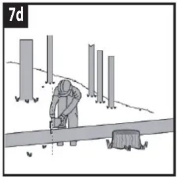 COBRA CS40E - 3).Bucking a log. - 4