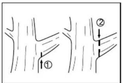 Diagram showing two stages of a tree branch with labeled arrows and directional arrows indicating movement or flow.