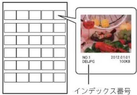 NO.1 DEL.JPG 2012.01.01 100KB インデックス番号